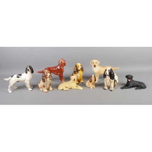 30 - A collection ceramic and composite dog figures, to include examples from Melba Ware and Regency Fine... 