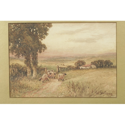 306 - A framed watercolour with gilt border depicting sheep grazing within a field, with farm building to ... 