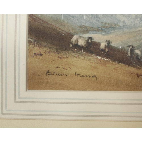 327 - Brian Irving (1931-2013), a gilt framed watercolour, landscape scene with sheep, titled Moors near S... 