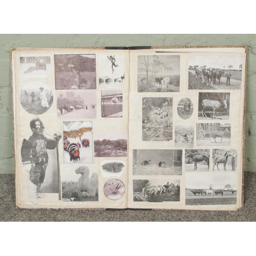 111 - An antique scrapbook filled with pictures, prints and newspaper clippings featuring animals, histori... 