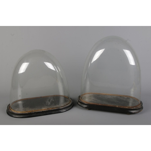 10 - Two Victorian oval glass display domes. Approx. dimensions of largest example 34cm x 14cm x 37cm.