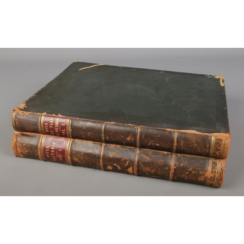 35 - Two antique leather bound books 