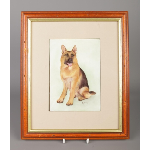 23 - Bryan Cox, a framed hand painted porcelain plaque, study of a German Shepherd. Cox was a painter for... 