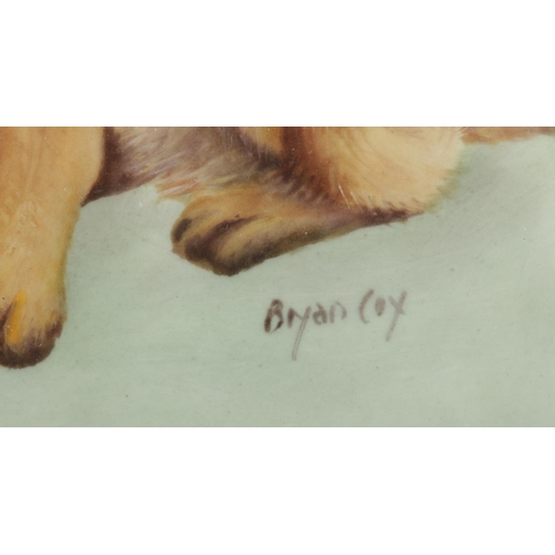 23 - Bryan Cox, a framed hand painted porcelain plaque, study of a German Shepherd. Cox was a painter for... 