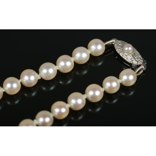 99 - A string of Mikimoto cultured pearls with 10ct white gold clasp. Length approximately 16inches.