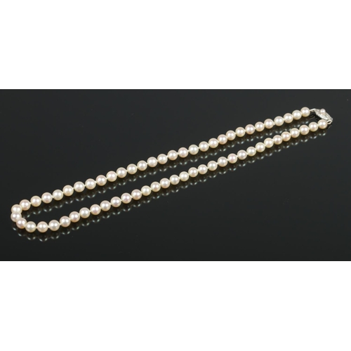 99 - A string of Mikimoto cultured pearls with 10ct white gold clasp. Length approximately 16inches.