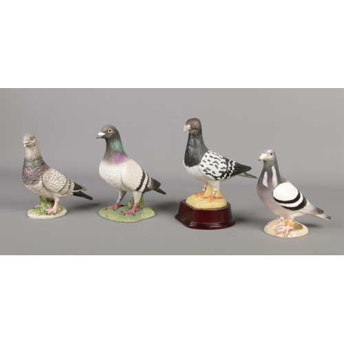 497 - A collection of four pigeon figurines, featuring pieces from John Beswick, Goebel, Leonardo and one ... 