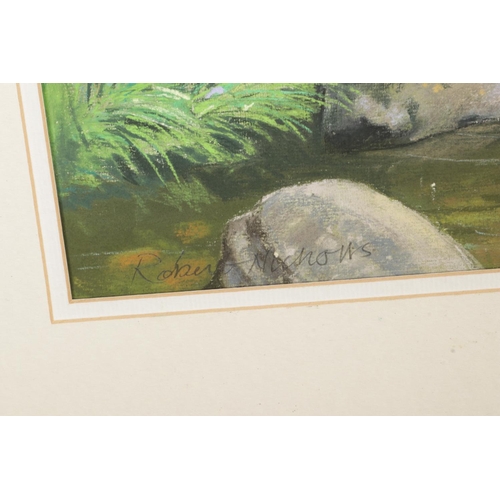 494 - Robert Nicholls, framed pastel, study of a Kingfisher flying over a River. Signed to lower left corn... 