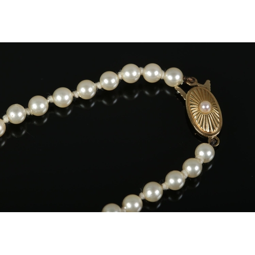 513 - A string of graduated pearls with 9ct Gold clasp, together with a large rolled gold cameo brooch.