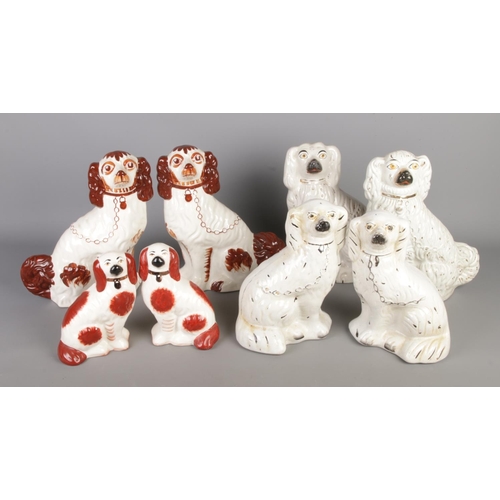 191 - A collection of hand painted Staffordshire style mantel dogs, includes Beswick and Royal Doulton a p... 