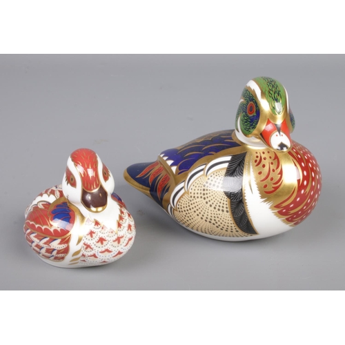 414 - Two Royal Crown Derby bird paperweights to include Carolina Duck with silver stopper and small red d... 