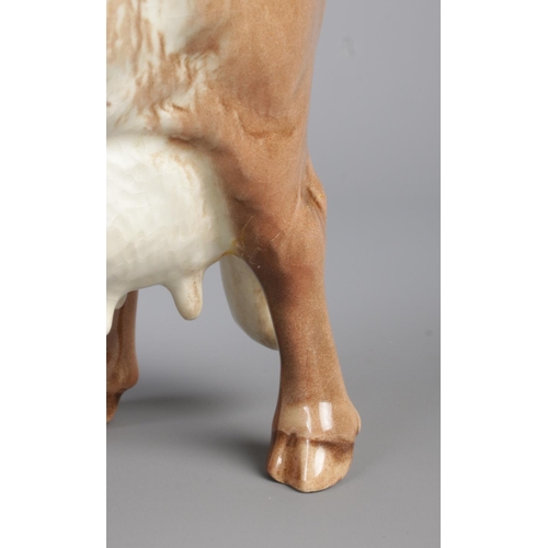 13 - A Beswick figure of a shorthorn cow. Stamped to base Ch. Eaton Wild Eyes 91st. Model Number 1510. He... 