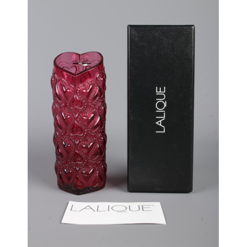 Lot 41        