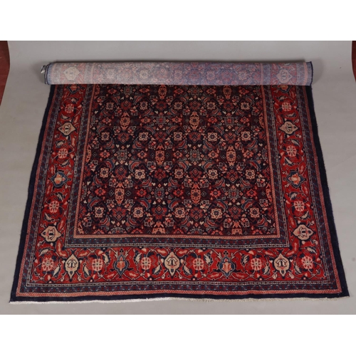 Lot 238       