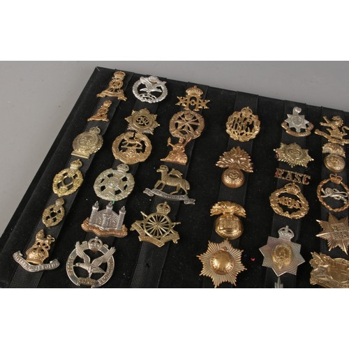 121 - A displayed collection of assorted military cap badges; Glider Pilot Regiment, Small Arms School bad... 