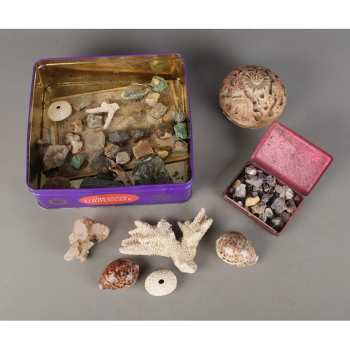 62 - A box of assorted coral, mineral and hardstone specimens to include carved soapstone trinket box, se... 