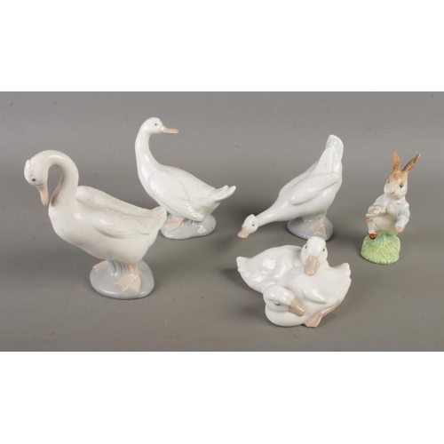 Lot 20        