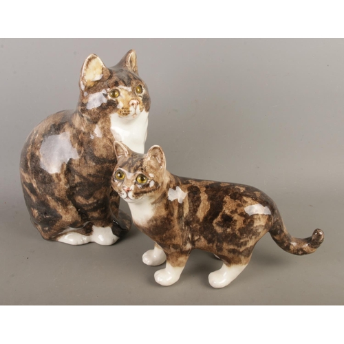 Lot 22        