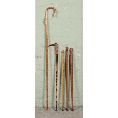 177 - Five wooden walking sticks one with a horn handle and one Shepherds Crook example with horn attachme... 