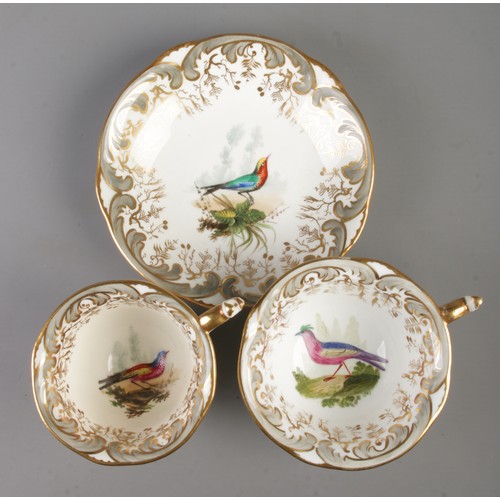 A Rockingham porcelain trio, decorated with exotic birds. Pattern ...