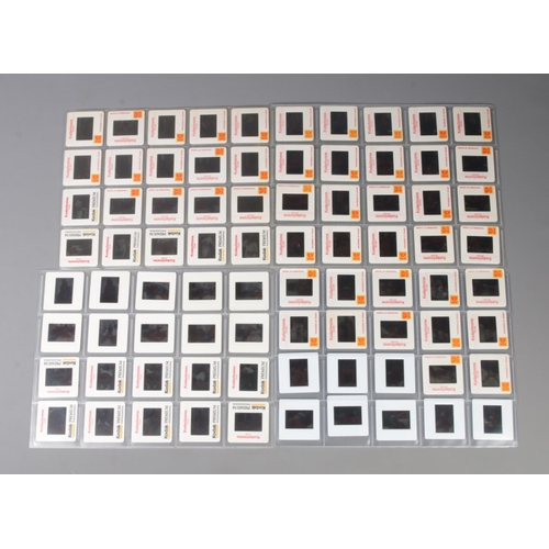 Lot 23        