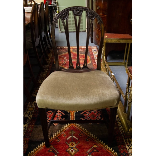 546 - 10 + 2 ANTIQUE  DINING CHAIRS