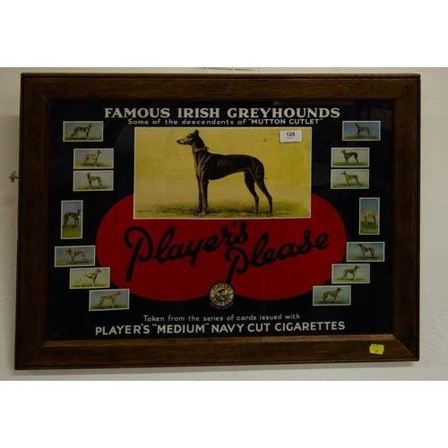 125 - PLAYERS PLEASE FAMOUS IRISH GREYHOUNDS 70 X 52CM