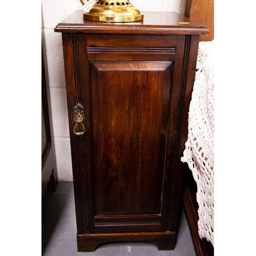 498 - EDWARDIAN PANEL DOOR MAHOGANY LOCKER