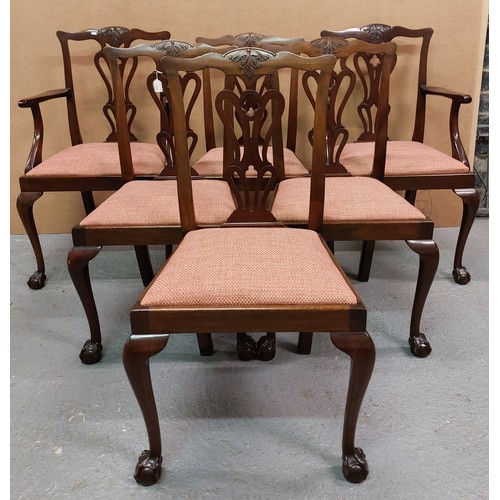 SET OF 6 CHIPPENDALE STYLE DINING ROOM CHAIRS ( 4 + 2)