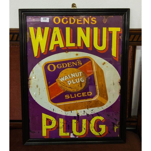 239 - WALNUT PLUG PICTURE. 50 X 66CM