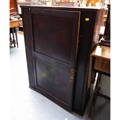 504 - PINE SINGLE DOOR CUPBOARD