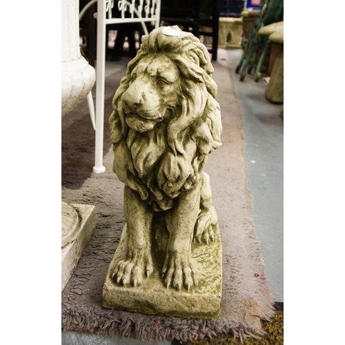 448 - PAIR OF STONE LIONS 40H CM