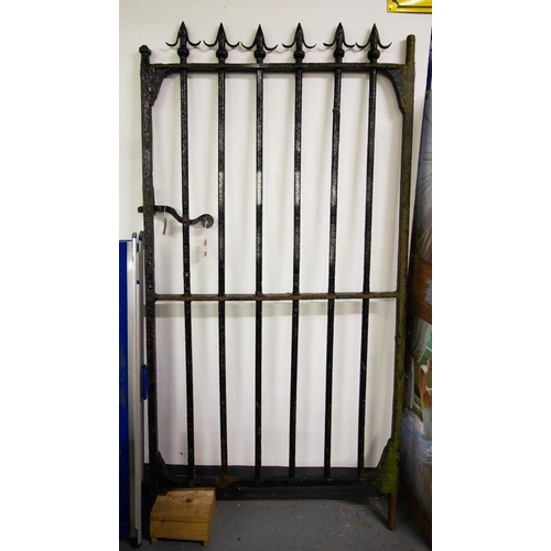 62 - CAST IRON SPIKE TOP GATE 103W X 183H CM