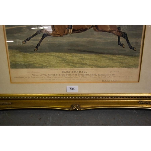 183 - ANTIQUE BLUE BONNET RACING PRINT. 70 X 55CM