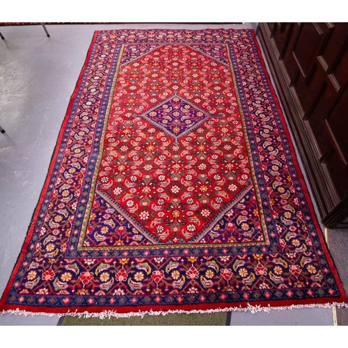 241 - RED GROUND PERSIAN RUG WITH FLORAL DESIGN + BLUE BORDER 305 X 195 CM