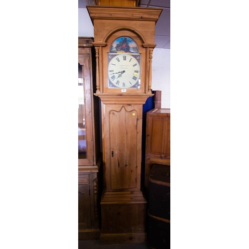 561 - PINE GRANDFATHER CLOCK CUPBOARD 212H X 50W CM