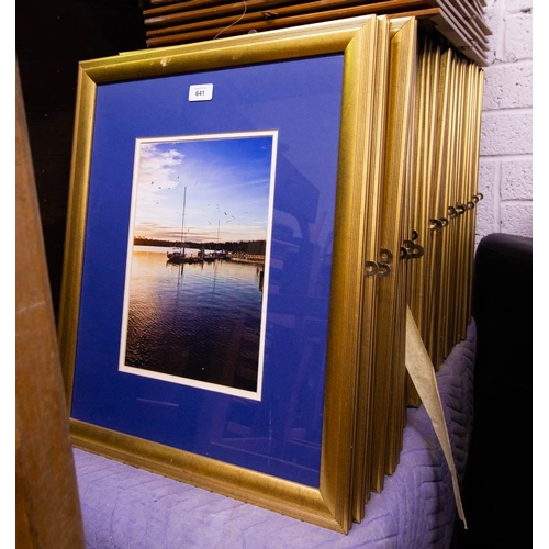 641 - 38 FURNISHING PRINTS IN GOLD FRAMES