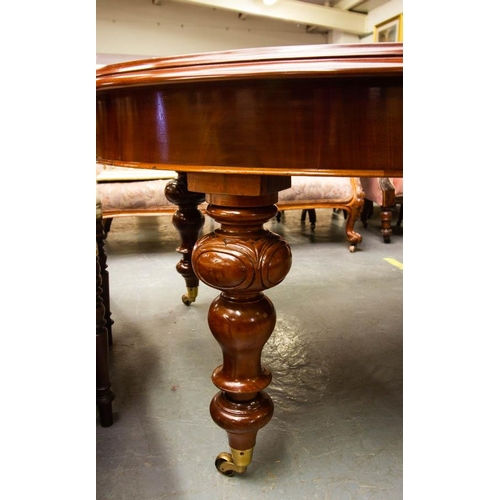 207 - QUALITY VICTORIAN MAHOGANY D-END DINING TABLE + 3 LEAVES ON TURNED LEG + BRASS CASTORS 295L X 145W X... 