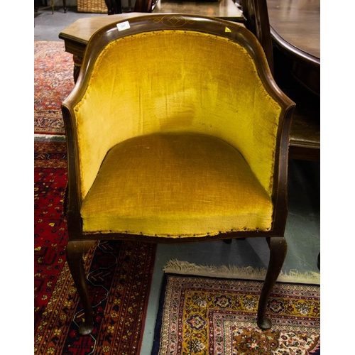 557 - INLAID EDWARDIAN CLUB CHAIR