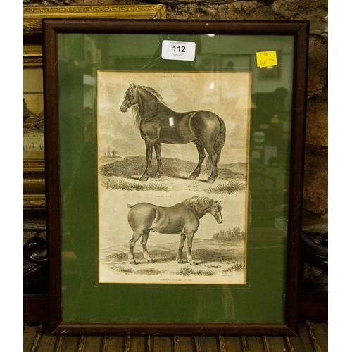 112 - ANTIQUE EMBROIDERED COACHING PICTURE + ENGRAVING OF HORSE