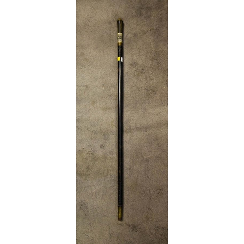 201 - ANTIQUE SWORD STICK