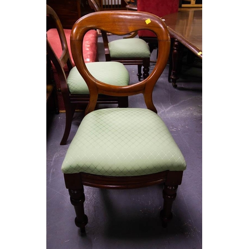 431 - 6 MAHOGANY BALLOON BACK DINING CHAIRS