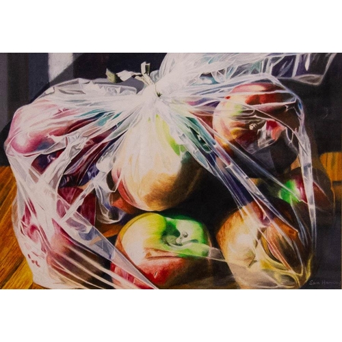 102 - SAM HAMILTON. 
BAG OF APPLES. 
STILL LIFE. 
OIL. 21 X 30CM. 
SIGNED