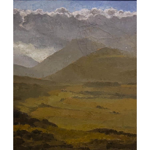 107 - EVELYN STREET. 
MOUNTAIN SCENE. 
OIL ON CANVASS. 42 X 35CM 
SIGNED ON REAR