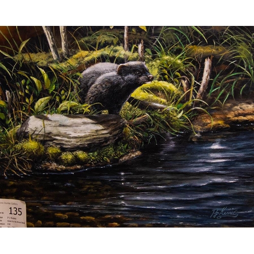 115 - PAT J KENNY .
 MINK ON THE RIVER BANK.  
OIL ON BOARD. 40 X 50CM. 
SIGNED