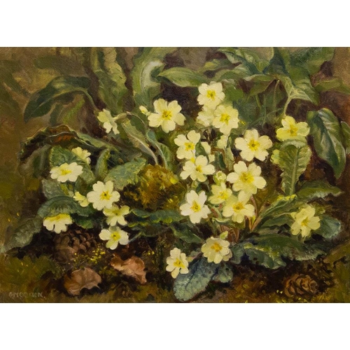 119 - Geraldine O'Brien. 
PRIMROSES. 
OIL ON CANVAS. 
30 X 40CM. 
SIGNED