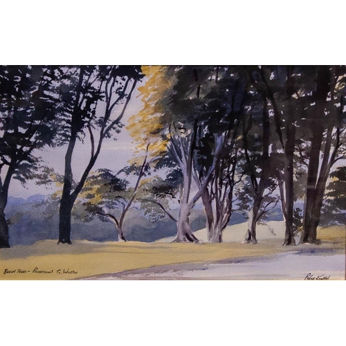 127 - Peter Knuttel. 
BEECH TREES, POWERSCOURT, CO. WICKLOW. 
WATERCOLOUR. 
32 X 50CM.
SIGNED