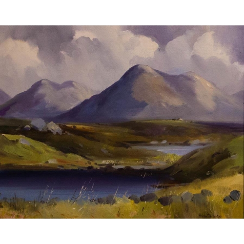 172 - ANNE TALLENTIRE (B.1949). 
BALLINAHINCH MOUNTAIN. 
OIL ON CANVAS . 
SIGNED 40 X 50CM