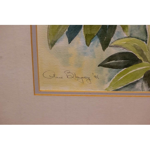 175 - ANNE BLAYNEY. 
RHODODENDRONS. 
WATERCOLOUR. 40 X 50 CM . 
SIGNED AND DATED '91