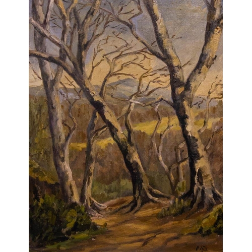 183 - WOODLAND SCENE. OIL ON CANVAS.45 X 35CM . INITIALLED